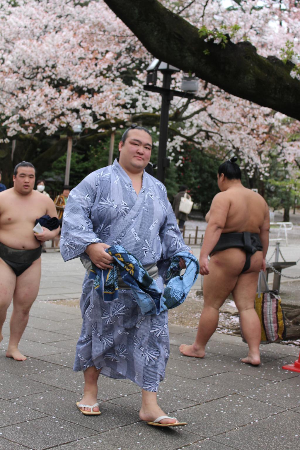 201500403　稀勢の里　相撲協会公式