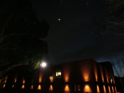 朧月夜・上野公園