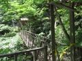 吊り橋（立入禁止） (2)