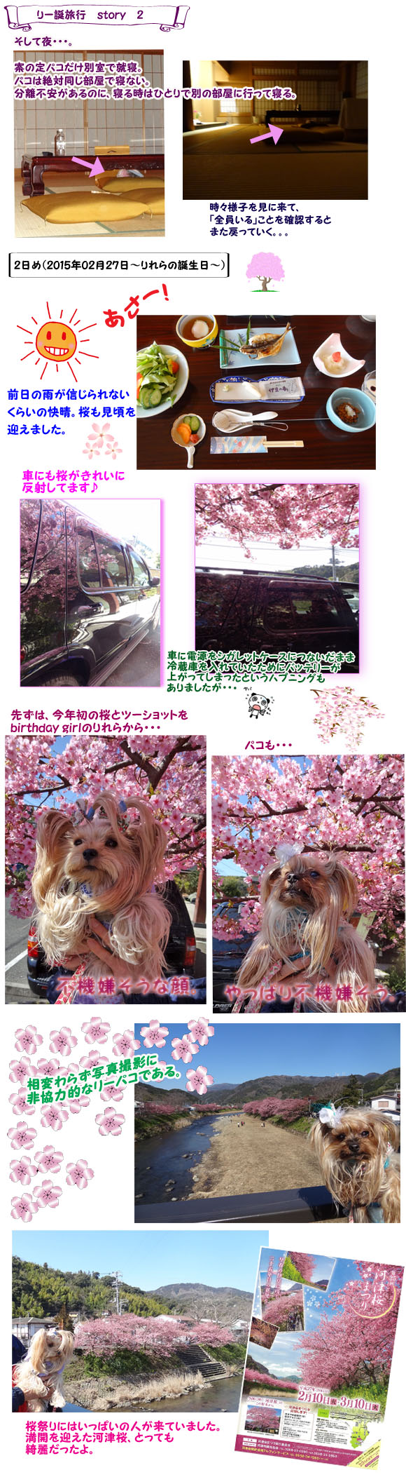 story2（01）桜祭り散策
