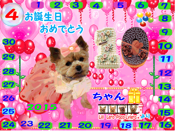 2015-04-23　レディちゃん（10歳）お誕生日カード