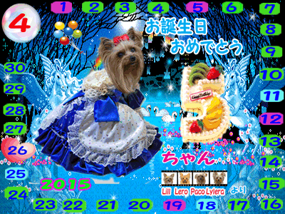 2015-04-26　まりりんちゃん（5歳）お誕生日カード