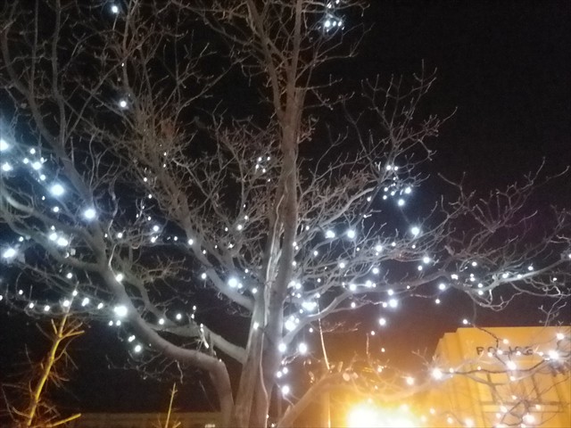 LEDで輝く街路樹の向こうは行きつけの交番