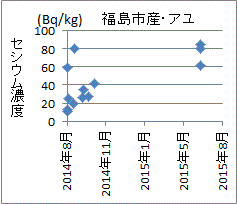 上昇傾向にある福島市産アユのセシウム濃度