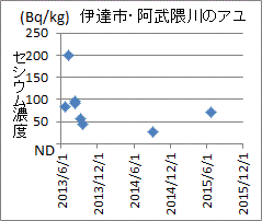 前回検査から約３倍になった伊達市・阿武隈川産アユのセシウム濃度