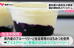 福島産ブルーベリーを使ったアイスクリーム