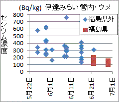 福島県が検査を始めたら急に値が低くなった福島・伊達地区のウメのセシウム濃度