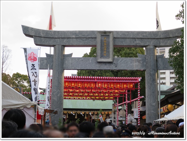 鳥居と提灯飾り2015-01-09十日恵比須神社かち詣り (16)