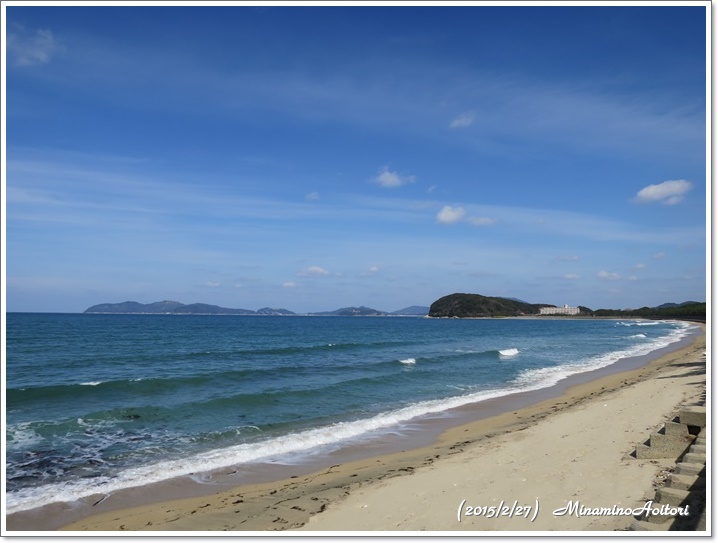 海岸砂浜2015-02-27福ふくの里(菜の花) (370)