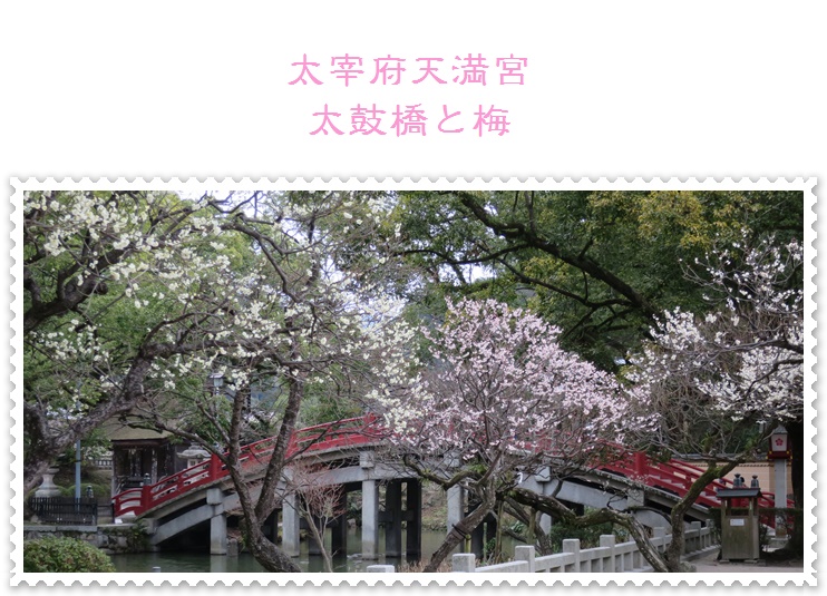 レイアウト2015-02-28太宰府(梅) (275)
