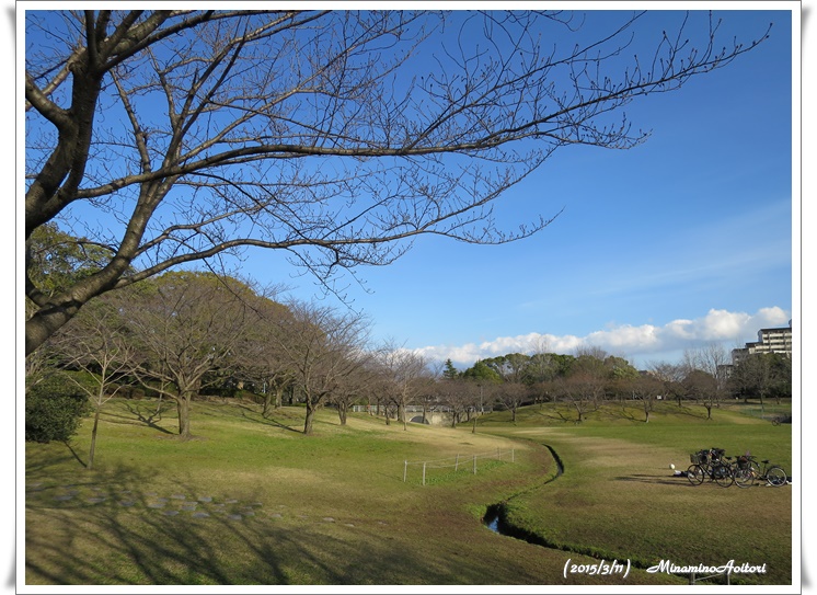 広場2015-03-11春日公園 (152)
