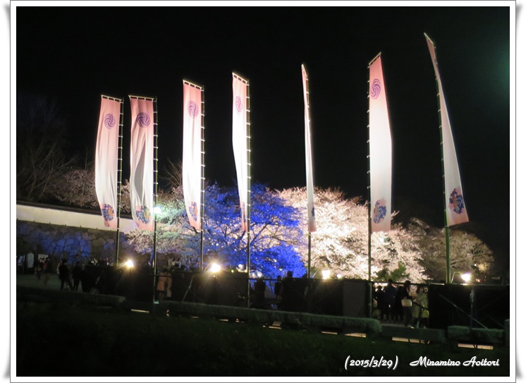 のぼり2015-03-29福岡タワー・福岡城跡(桜) (210)