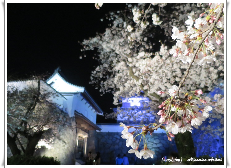下ノ橋御門2015-03-29福岡タワー・福岡城跡(桜) (85)