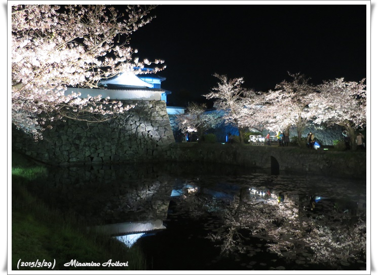 石垣と池に写る桜2015-03-29福岡タワー・福岡城跡(桜) (43)