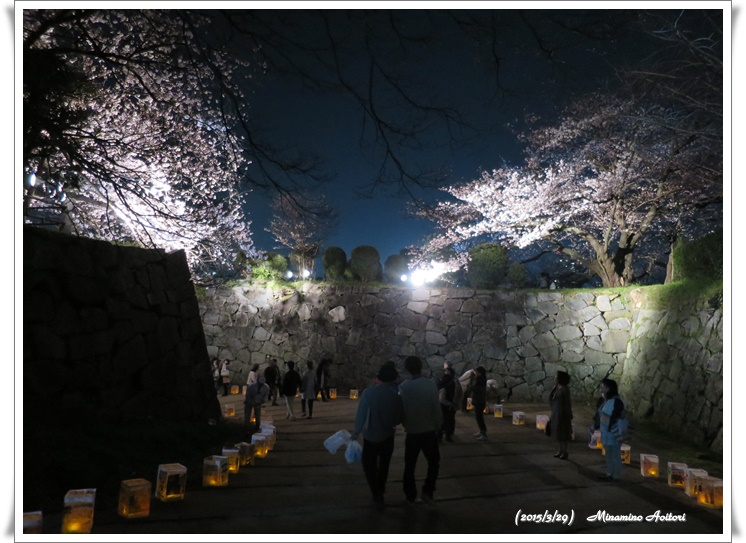 灯篭2015-03-29福岡タワー・福岡城跡(桜) (169)