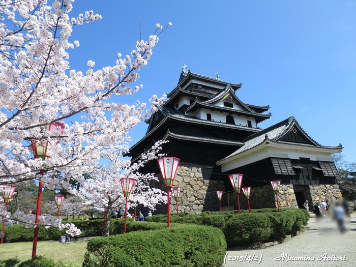 桜と松江城2015-04-02松江城・八重垣神社・玉造温泉 (394)