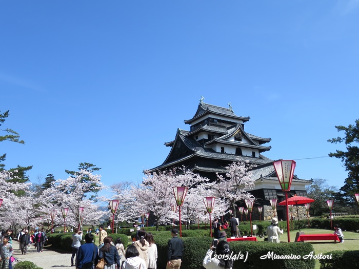 桜と松江城2015-04-02松江城・八重垣神社・玉造温泉 (374)