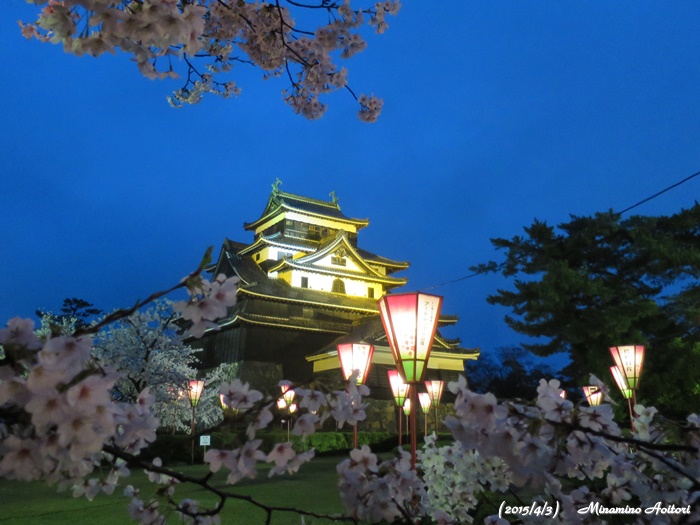 桜と松江城2015-04-03出雲・玉造温泉・松江城(ライトアップ) (141)