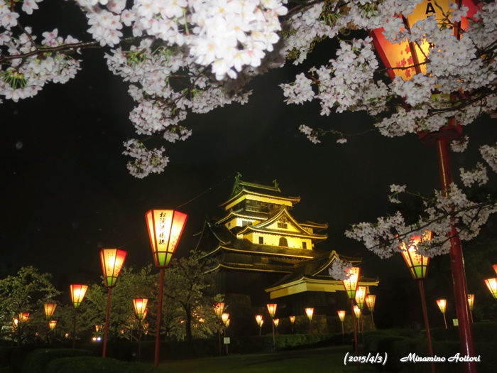 桜と松江城2015-04-03出雲・玉造温泉・松江城(ライトアップ) (216)