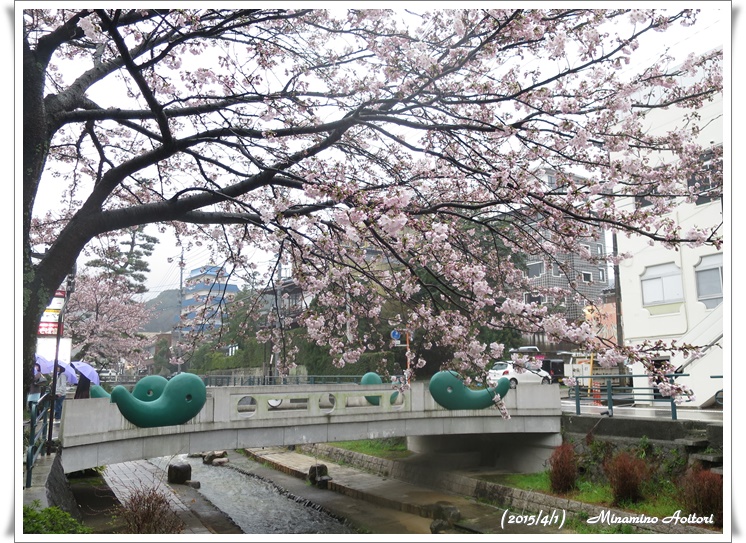 まがたま橋2015-04-01玉造温泉(桜) (229)