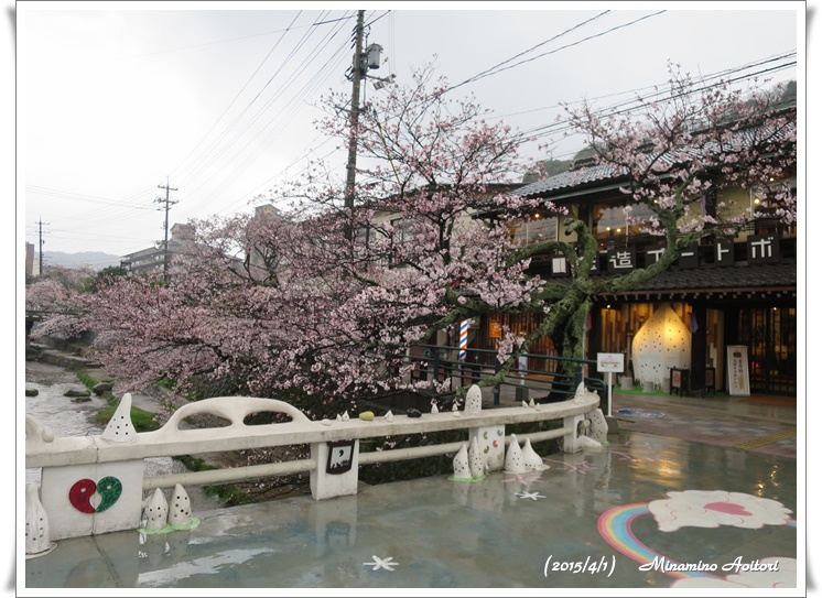 キラキラ橋2015-04-01玉造温泉(桜) (58)