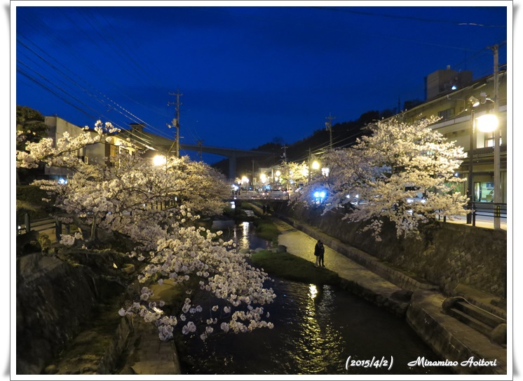 夜の温泉街川と桜2015-04-02松江城・八重垣神社・玉造温泉 (897)
