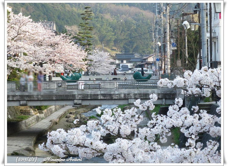 桜とまがたま橋2015-04-02松江城・八重垣神社・玉造温泉 (847)