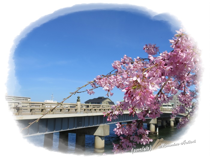 大橋としだれ桜2015-04-02松江城・八重垣神社・玉造温泉 (122)