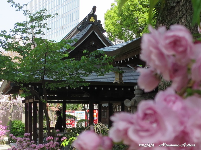 桜2015-04-09アクロスから櫛田神社 (190)