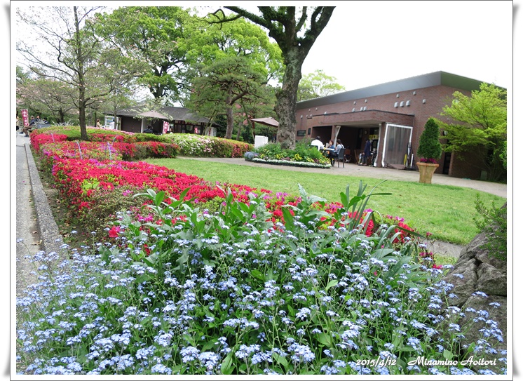 花の小径2015-04-12石橋文化センター (48)