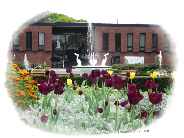 噴水とチューリップ2015-04-12石橋文化センター (7)