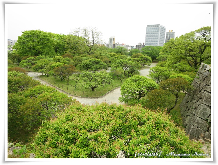上から梅園2015-04-28福岡城跡・フジ・ぼたん・シャクヤク (273)