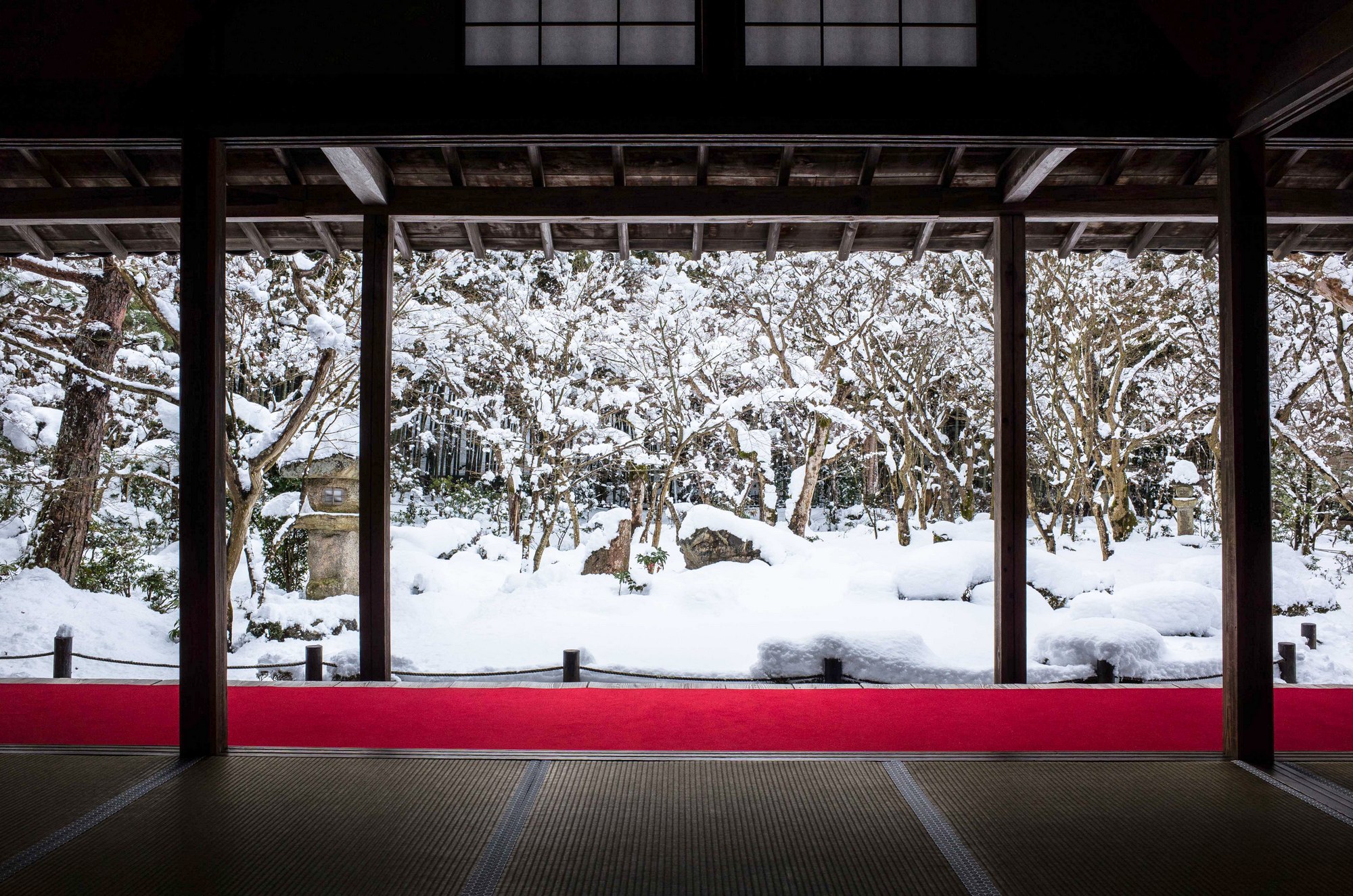 京都雪1