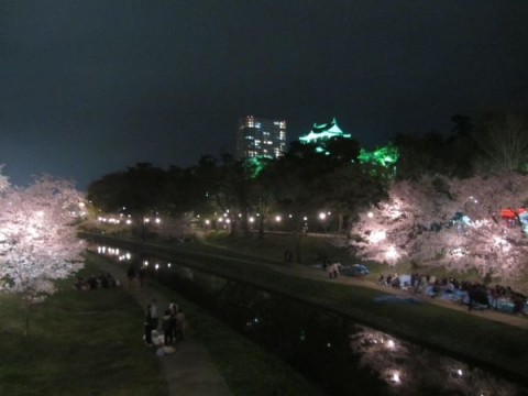 岡崎城と夜桜