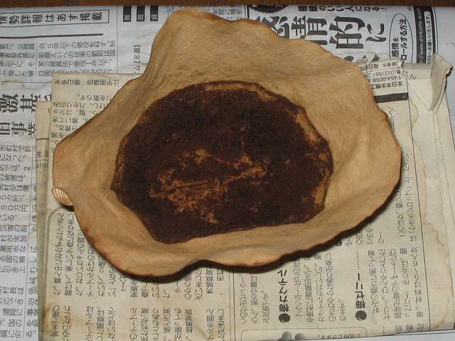 藤田珈琲 オリジナルブレンドコーヒー 深煎り ドリップ後に数日間放置して乾燥した Melitta エコフィルターペーパー ブラウン Eco PA 1×4G、乾燥したコーヒーかす移し替え用に使用
