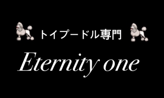 Eternity one